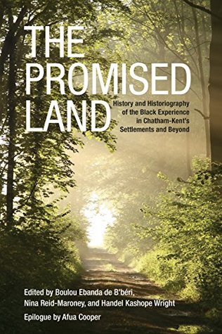 Download The Promised Land: History and Historiography of the Black Experience in Chatham-Kent's Settlements and Beyond (African & Diasporic Cultural Studies) - Boulou De B'Beri | PDF