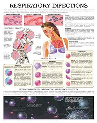 Read Online Respiratory infections e chart: Full illustrated - HC-HealthComm file in ePub