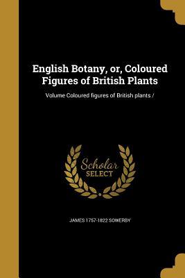 Download English Botany, Or, Coloured Figures of British Plants; Volume Coloured Figures of British Plants - James Sowerby | PDF