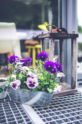 Read Online Tablescape with a Vintage Lantern and Pansies Journal: 150 Page Lined Notebook/Diary -  file in PDF