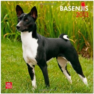 Read Online Basenjis 2013 Square 12X12 Wall Calendar (Multilingual Edition) -  file in ePub