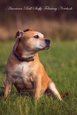 Read American Bull Staffy February Notebook American Bull Staffy Record, Log, Diary, Special Memories, To Do List, Academic Notepad, Scrapbook & More - Breeds Of Beauty file in PDF