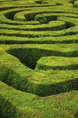 Download Awesome Green Hedge Maze at Glendurgan Gardens in Cornwall England Journal: 150 Page Lined Notebook/Diary -  | PDF