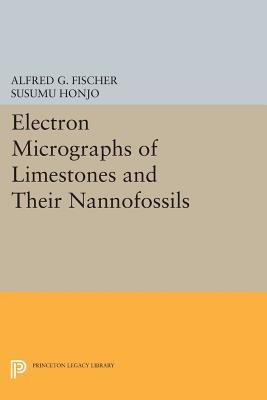 Read Online Electron Micrographs of Limestones and Their Nannofossils - A.G. Fischer file in ePub