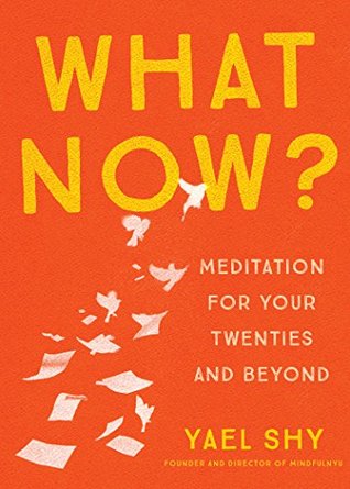 Read Online What Now?: Meditation for Your Twenties and Beyond - Yael Shy file in ePub