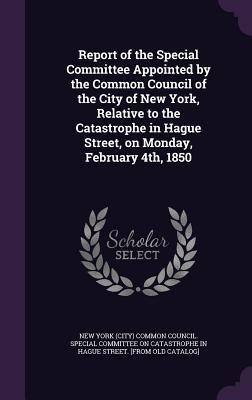 Read Report of the Special Committee Appointed by the Common Council of the City of New York, Relative to the Catastrophe in Hague Street, on Monday, February 4th, 1850 - New York (City) Common Council Special file in ePub