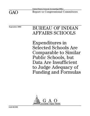 Read Online Bureau of Indian Affairs Schools: Expenditures in Selected Schools Are Comparable to Similar Public Schools, But Data Are Insufficient to Judge Adequacy of Funding and Formulas - U.S. Government Accountability Office file in ePub