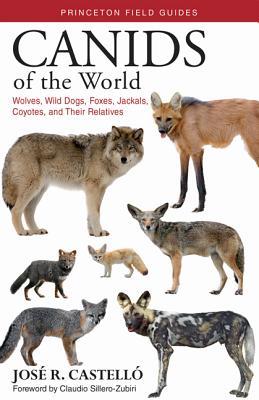 Read Online Canids of the World: Wolves, Wild Dogs, Foxes, Jackals, Coyotes, and Their Relatives - José R. Castelló | PDF