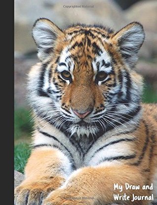 Download My Draw and Write Journal: Orange Tiger Cub - A Primary Journal for Kids - 100 Story Pages for Creative Writing - Softcover Composition Size Notebook (Sketch and Story Notebooks) - Sweet Harmony Press | ePub