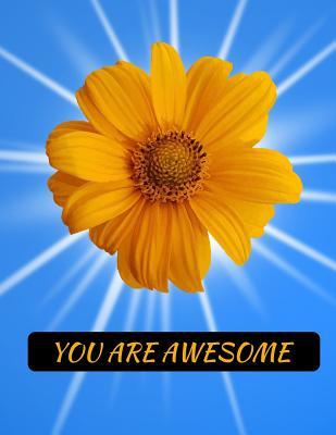 Read Online You Are Awesome Sunflower Notebook Journal 150 College Ruled Pages 8.5 X 11 -  file in PDF