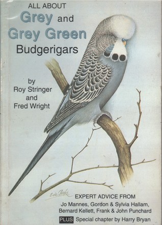 Download All about Grey and Grey Green Budgerigars (All About Budgerigars, #3) - Roy Stringer | ePub